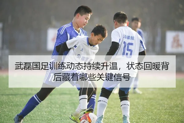 武磊国足训练动态持续升温，状态回暖背后藏着哪些关键信号 - lecaiwang
